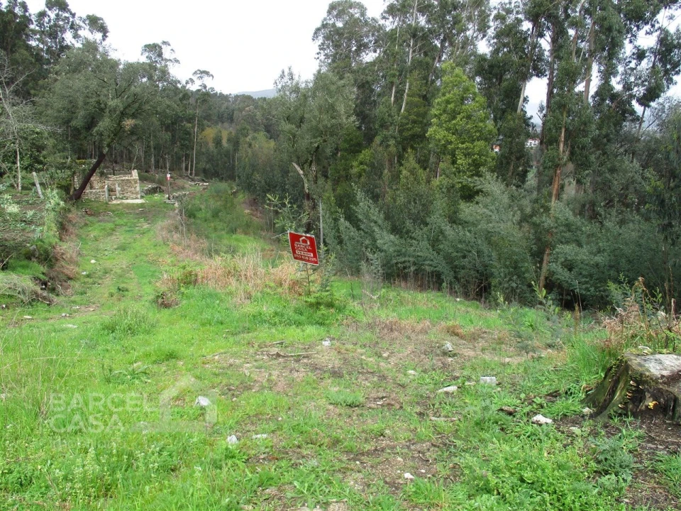 Terreno para Venda em Quintiães e Aguiar Foto 6