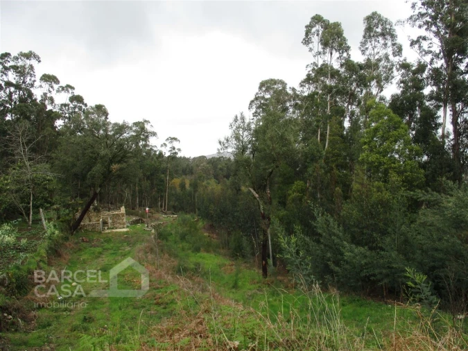 Terreno para Venda em Quintiães e Aguiar Foto 3