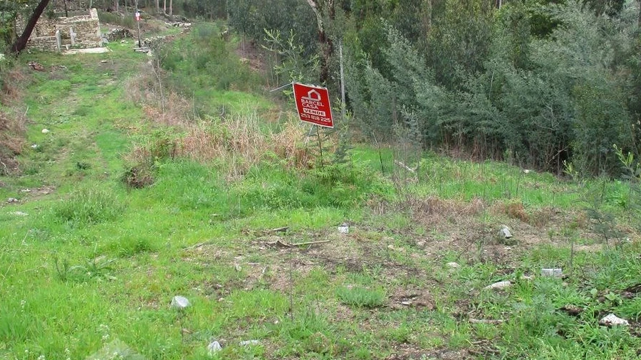 Terreno para Venda em Quintiães e Aguiar