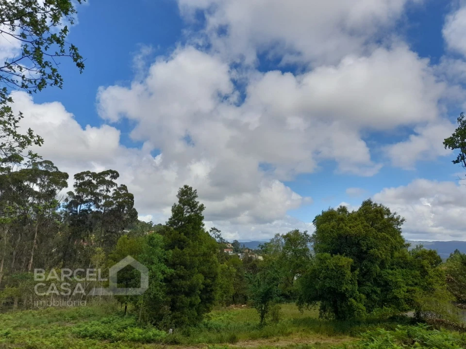 Terreno para Venda em Palme Foto 5
