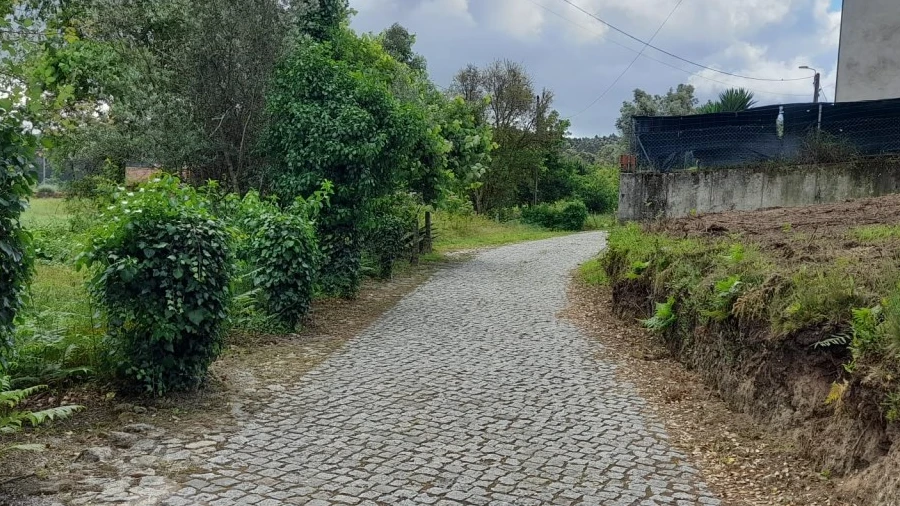 Terreno para Venda em Palme
