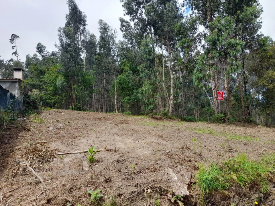 Terreno para Venda em Palme Foto 3