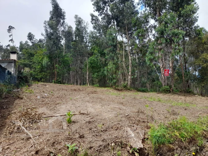 Terreno para Venda em Palme Foto 3