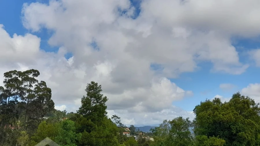 Terreno para Venda em Palme
