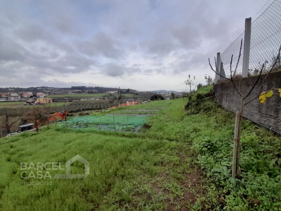 Terreno para Venda em Areias de Vilar e Encourados Foto 7