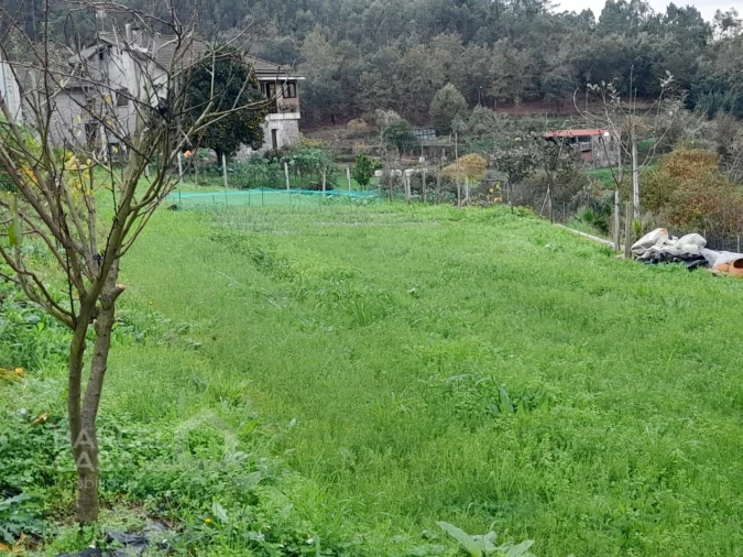 Terreno para Venda em Areias de Vilar e Encourados Foto 13