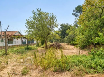 Terreno para Venda em Galegos (São Martinho)