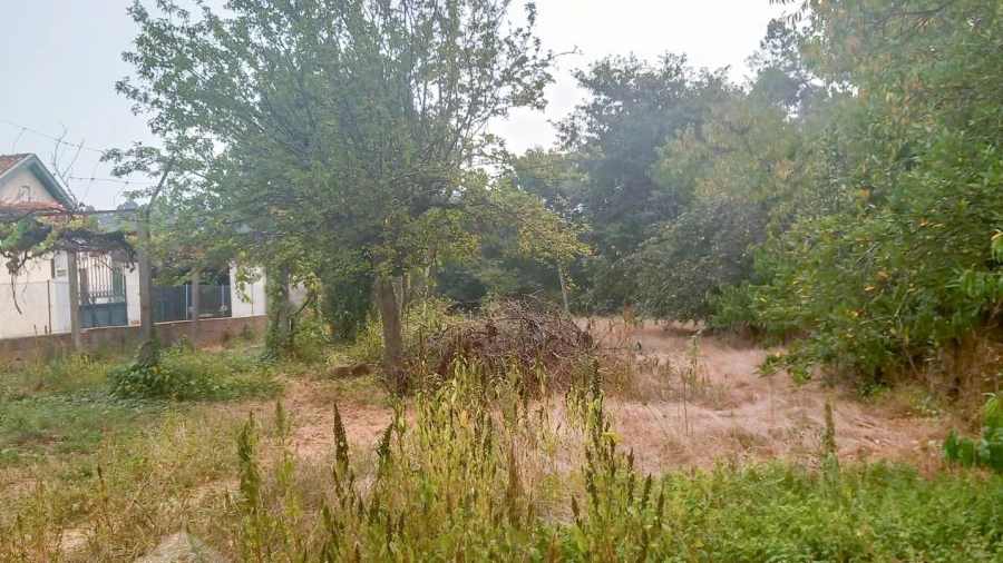 Terreno para Venda em Galegos (São Martinho)
