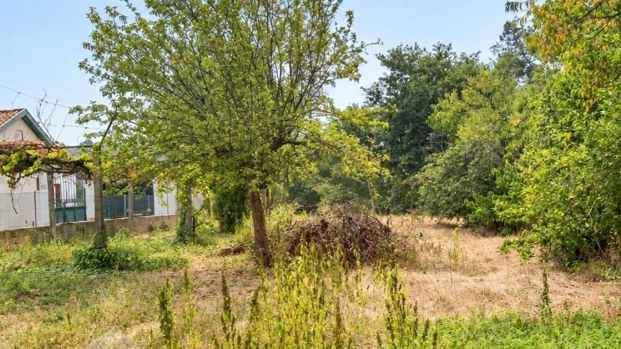 Terreno para Venda em Galegos (São Martinho)