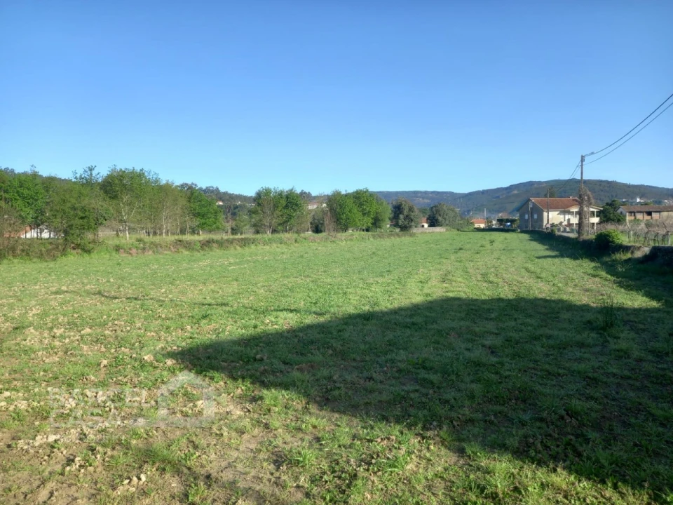 Terreno para Venda em Quintiães e Aguiar Foto 9
