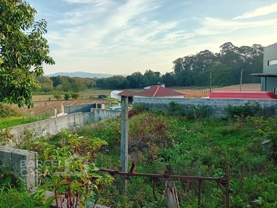 Terreno para Venda em Abade de Neiva Foto 5