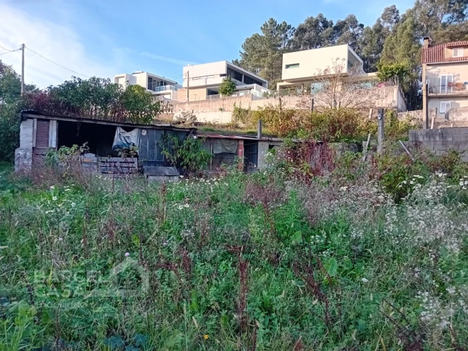 Terreno para Venda em Abade de Neiva Foto 11