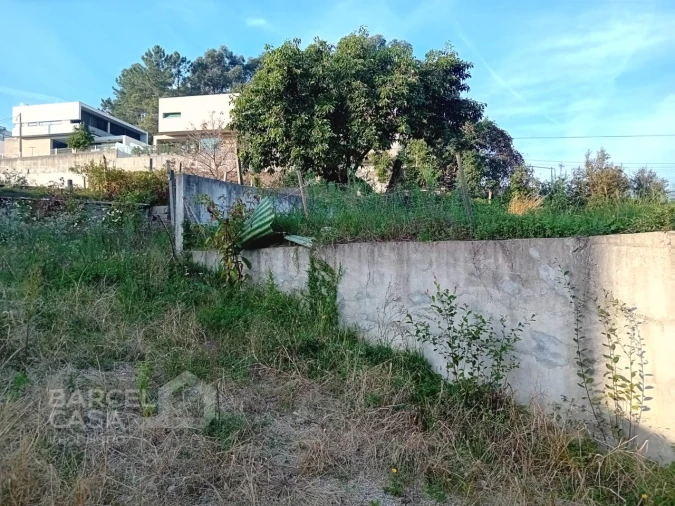 Terreno para Venda em Abade de Neiva Foto 14