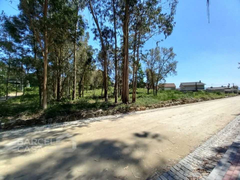 Terreno para Venda em Galegos (São Martinho) Foto 5