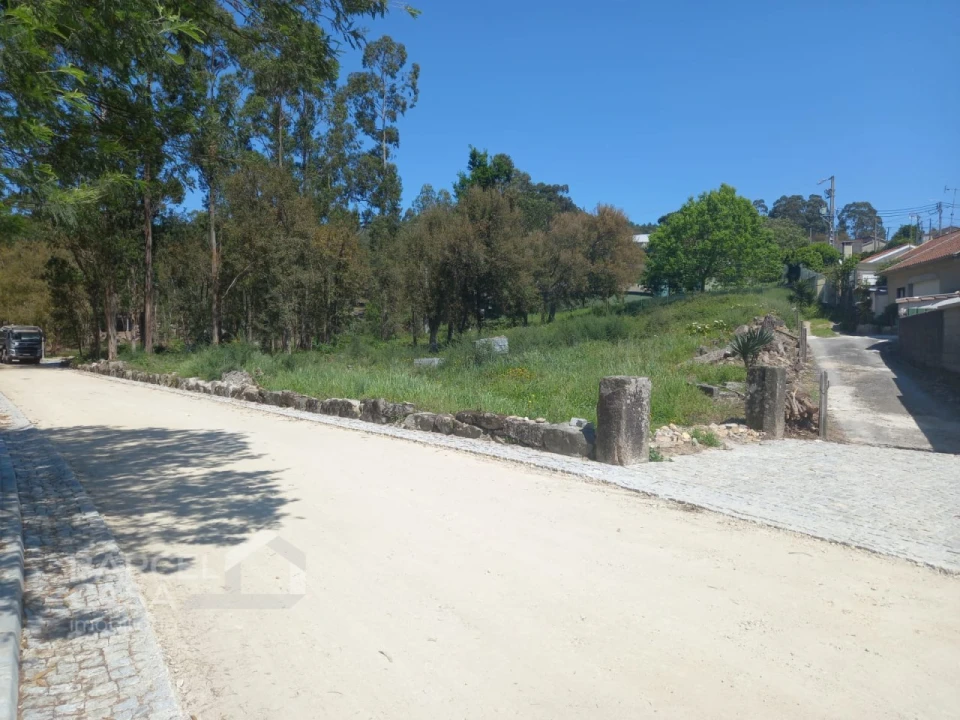 Terreno para Venda em Galegos (São Martinho) Foto 7