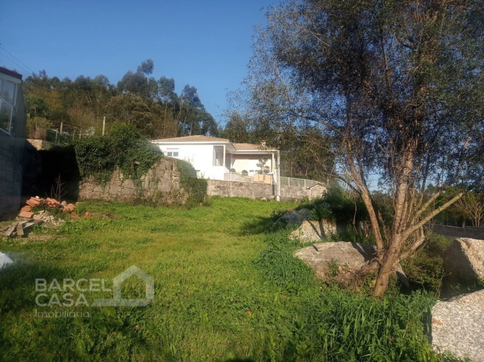 Terreno para Venda em Lemenhe, Mouquim e Jesufrei Foto 1