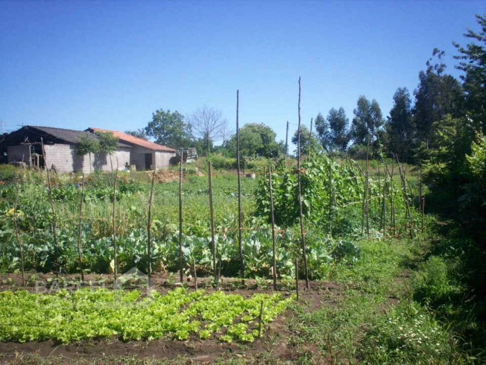 Terreno para Venda em Carvalhal Foto 2