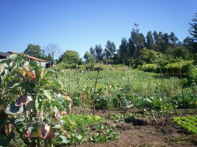 Terreno para Venda em Carvalhal Foto 4