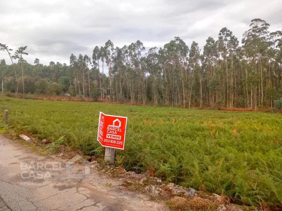 Terreno para Venda em Alheira e Igreja Nova Foto 4