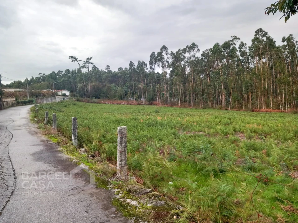 Terreno para Venda em Alheira e Igreja Nova Foto 6