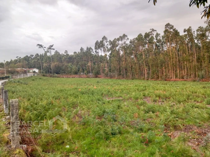 Terreno para Venda em Alheira e Igreja Nova Foto 2