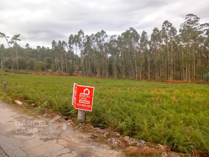 Terreno para Venda em Alheira e Igreja Nova Foto 4