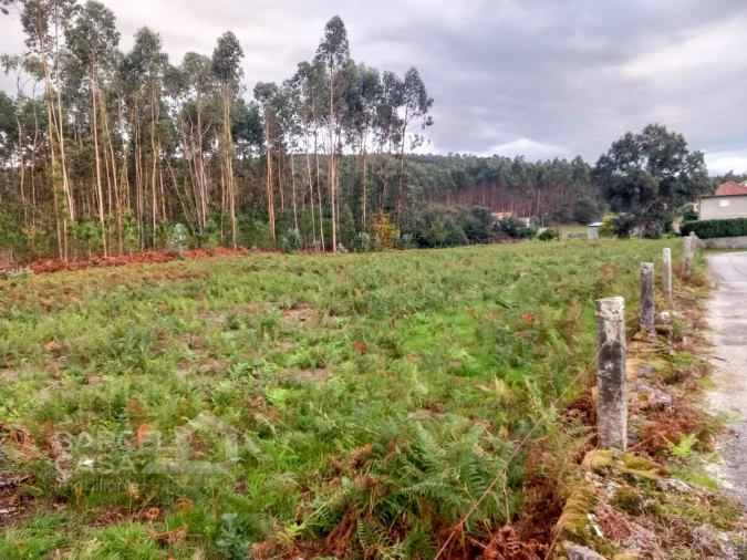 Terreno para Venda em Alheira e Igreja Nova Foto 7