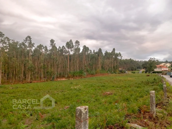 Terreno para Venda em Alheira e Igreja Nova Foto 8