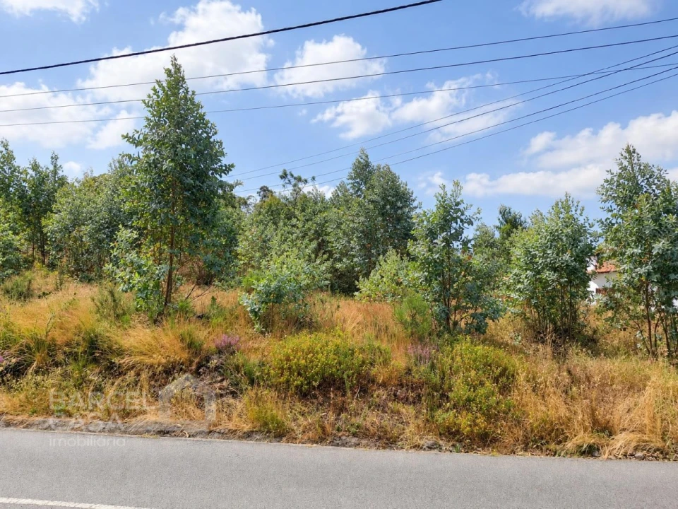 Terreno para Venda em Perelhal Foto 2