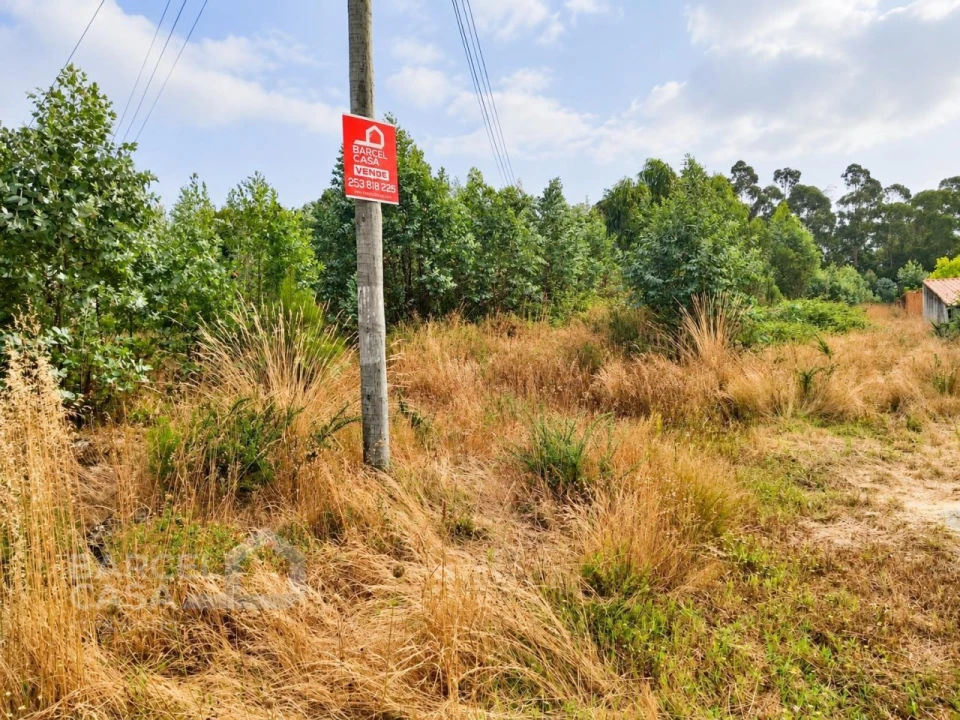 Terreno para Venda em Perelhal Foto 4