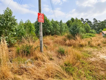 Terreno para Venda em Perelhal