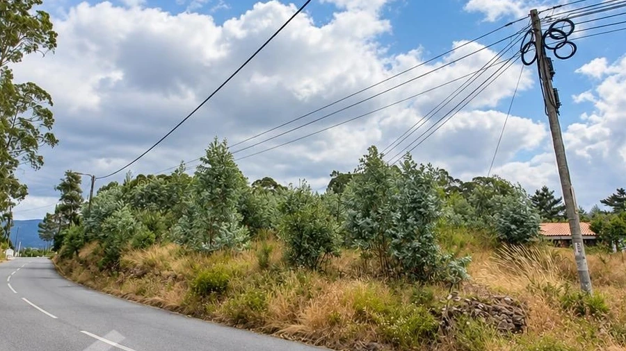 Terreno para Venda em Perelhal