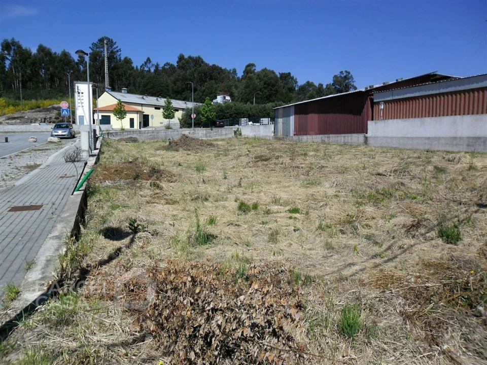 Terreno para Venda em Campo e Tamel (São Pedro Fins) Foto 2