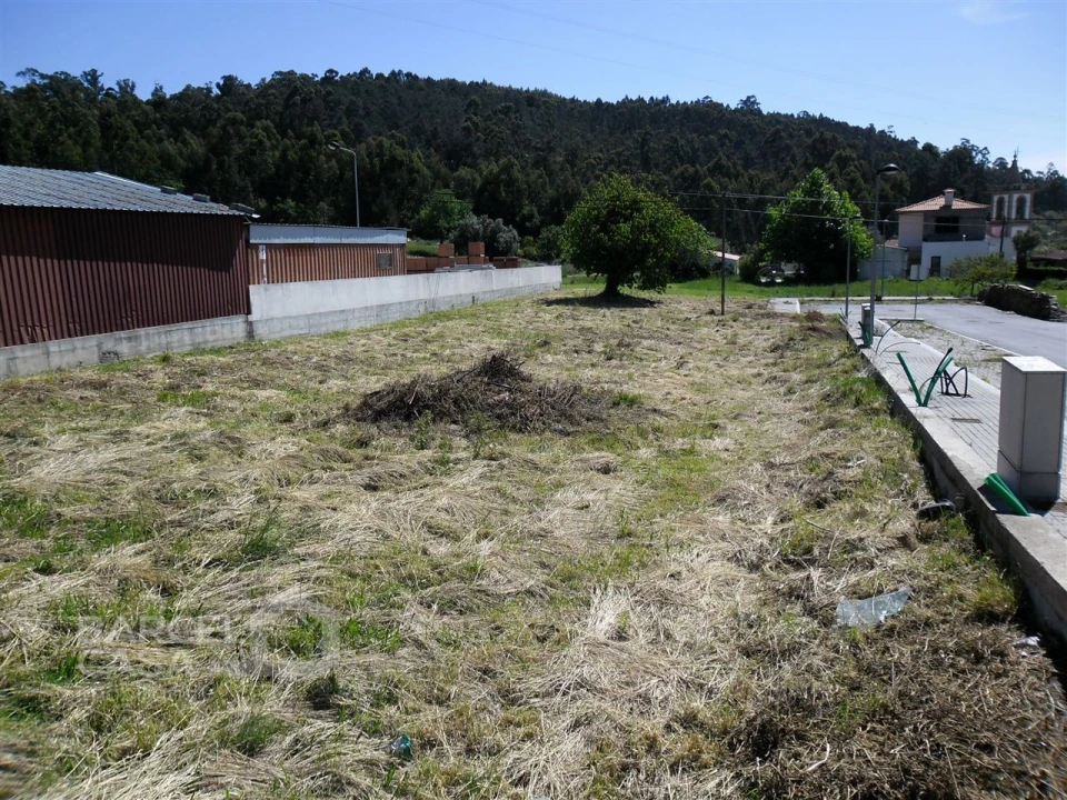 Terreno para Venda em Campo e Tamel (São Pedro Fins) Foto 3