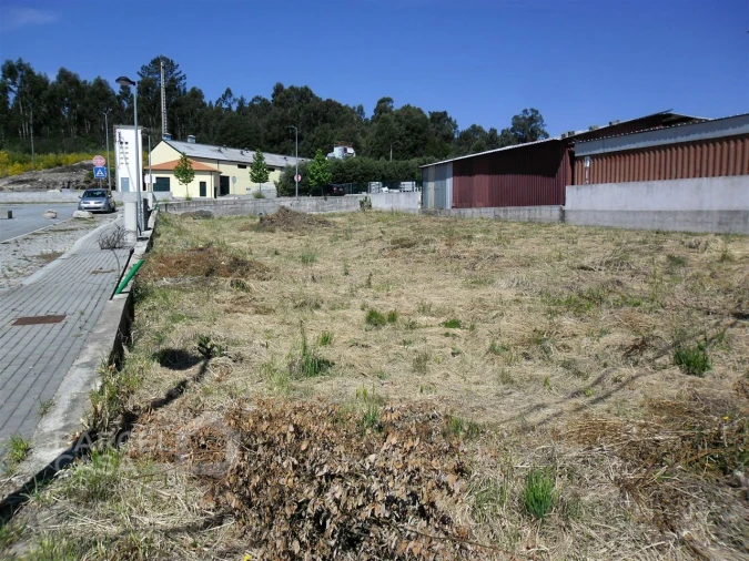 Terreno para Venda em Campo e Tamel (São Pedro Fins) Foto 2