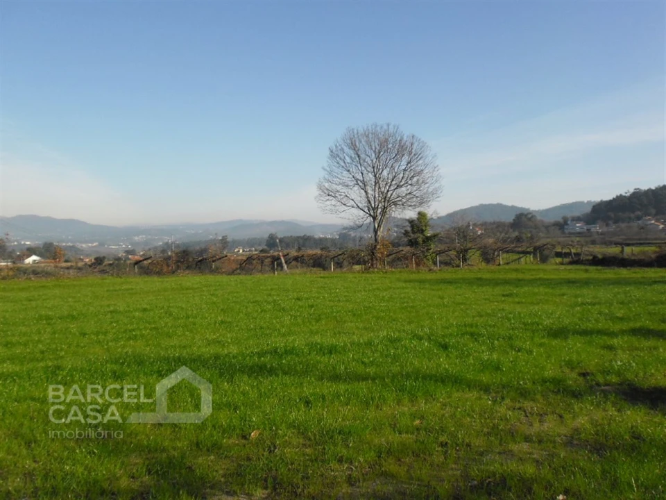 Terreno para Venda em Quintiães e Aguiar Foto 1