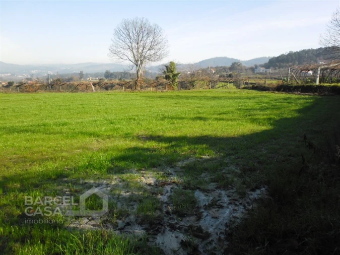 Terreno para Venda em Quintiães e Aguiar Foto 2