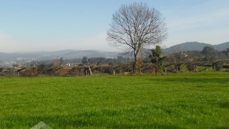 Terreno para Venda em Quintiães e Aguiar