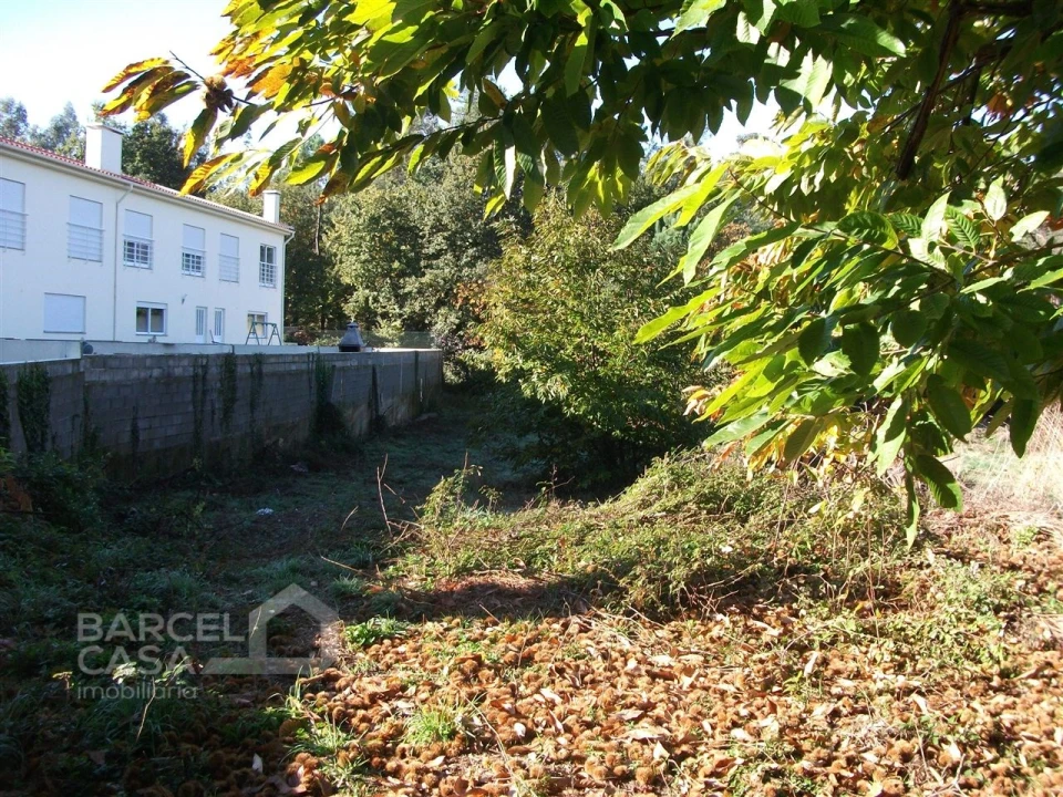 Terreno para Venda em Alheira e Igreja Nova Foto 5