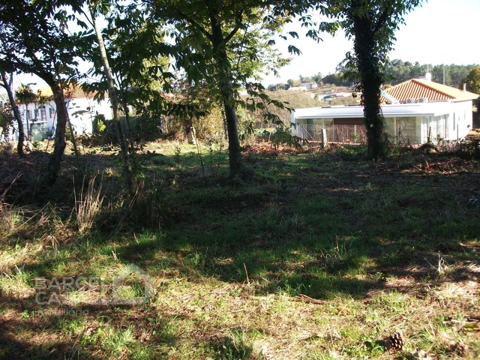 Terreno para Venda em Alheira e Igreja Nova Foto 10