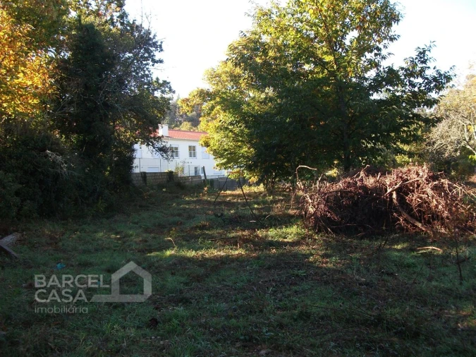 Terreno para Venda em Alheira e Igreja Nova Foto 4