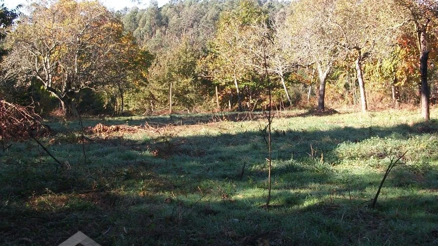 Terreno para Venda em Alheira e Igreja Nova