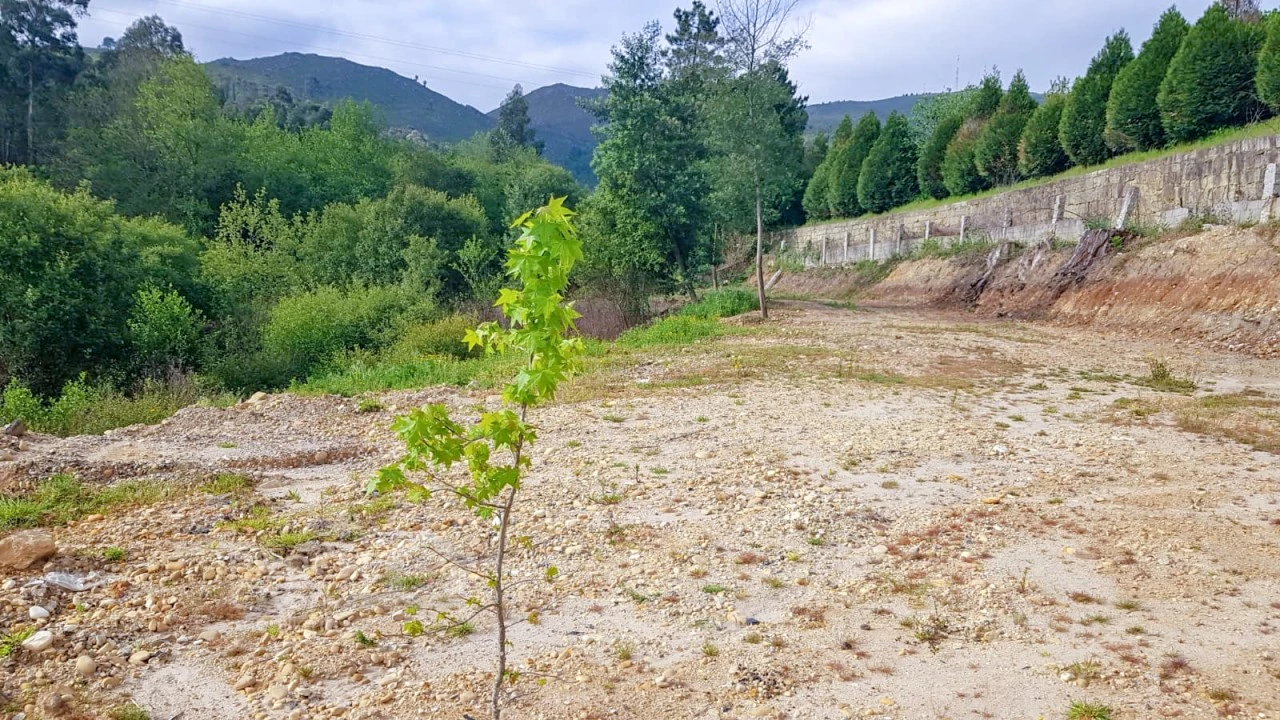 Terreno para Venda em Verdoejo Foto 14
