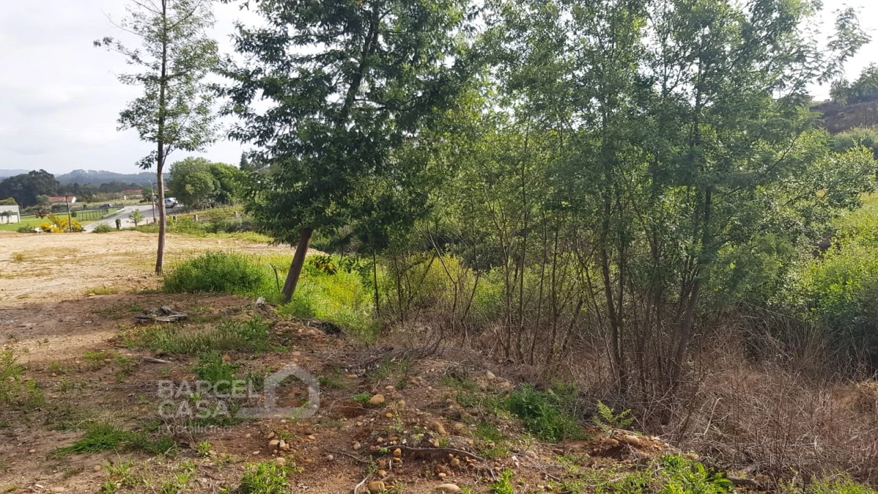 Terreno para Venda em Verdoejo Foto 19