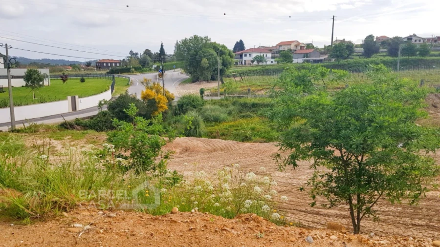 Terreno para Venda em Verdoejo Foto 9