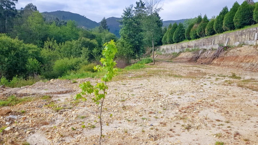 Terreno para Venda em Verdoejo Foto 14