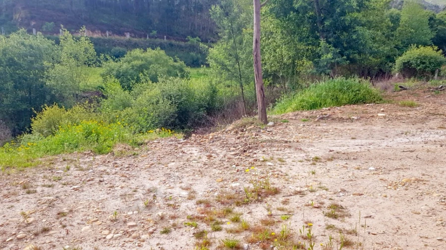 Terreno para Venda em Verdoejo Foto 20