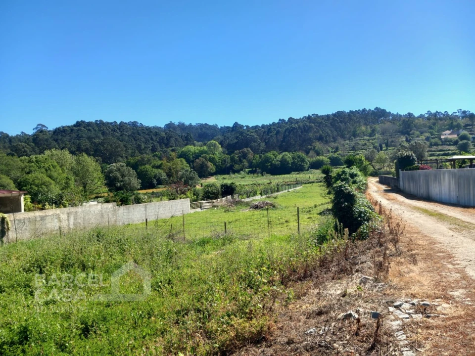 Terreno para Venda em Antas Foto 1