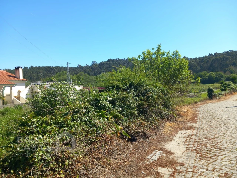 Terreno para Venda em Antas Foto 2
