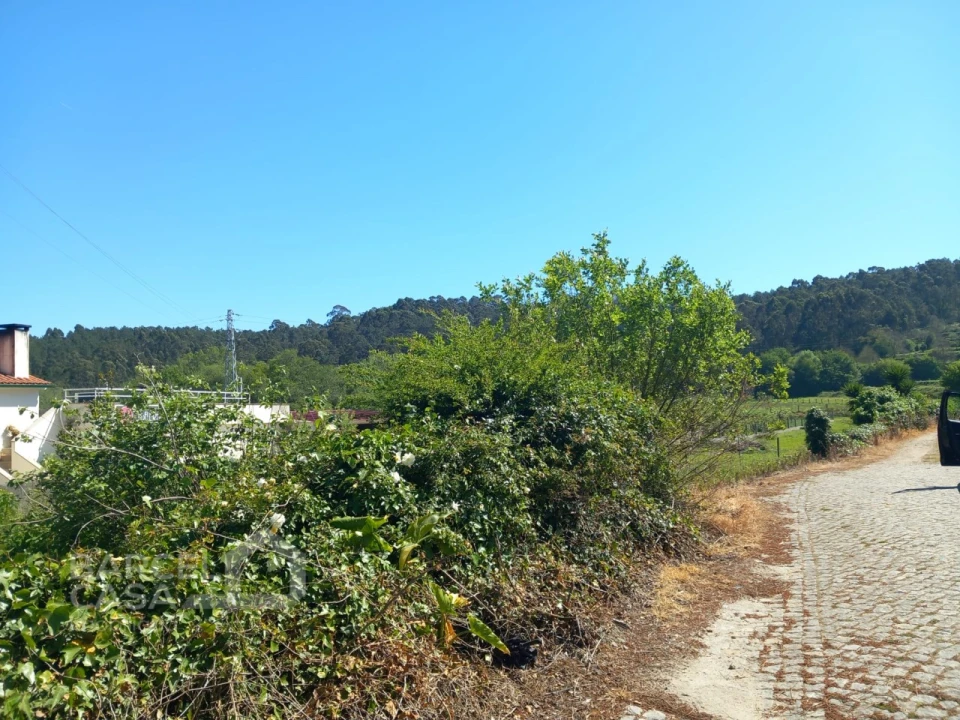 Terreno para Venda em Antas Foto 3